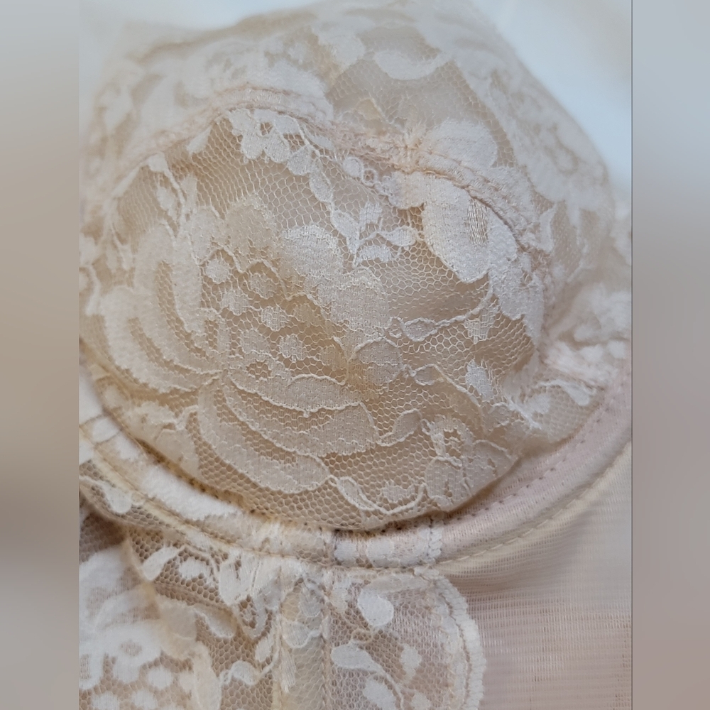 Fredericks of hollywood corset
